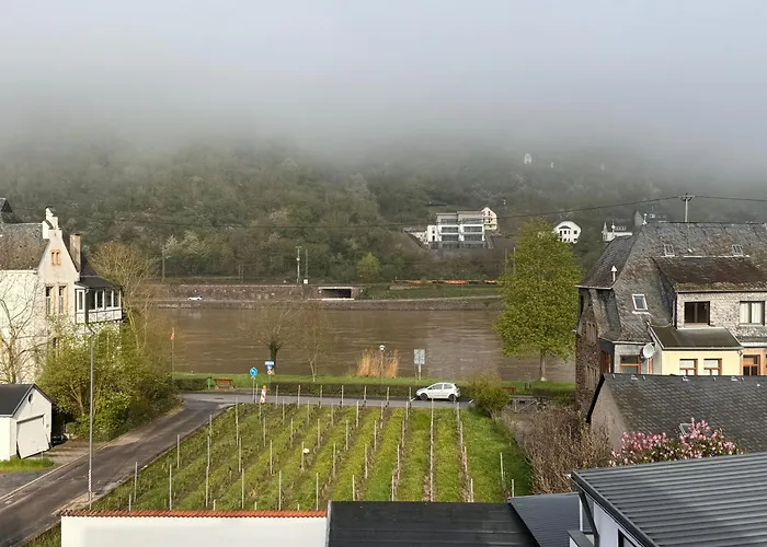 Hakans Moselblick 2 * Treis-Karden